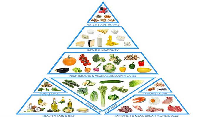 Benefits of-the ketogenic-diet