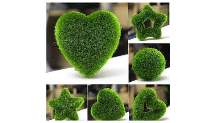 ایدههای خلاقانه برای تهیه سبزه عید 1404