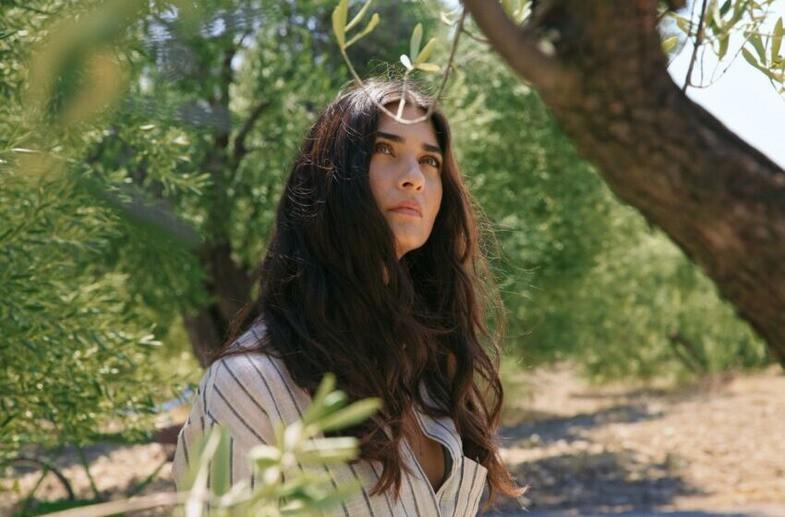 سریال Zeytin Agaci