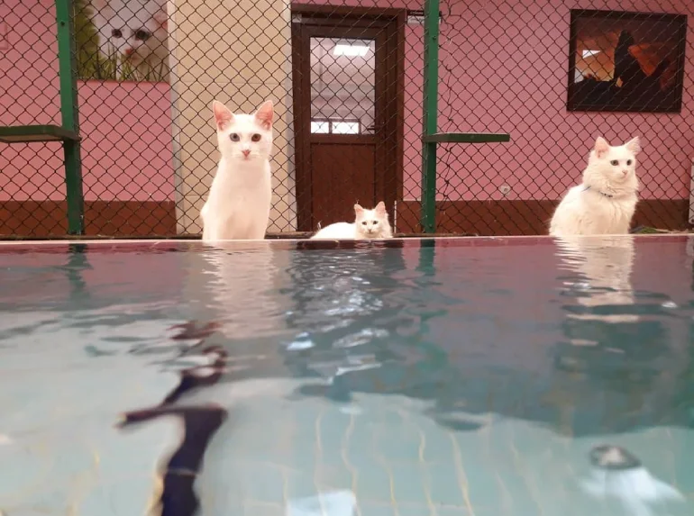 جاهای دیدنی وان